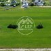 Snagov- A3  oportunitate de investitie si dezvoltare rezidentiala: teren 2.246mp,